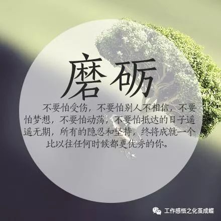 劢，一个充满力量的字。在汉字中，它象征着努力、奋斗和不懈的追求。劢，不仅是一个字，更是一种精神，一种态度。本文将从历史、文化、社会等多个方面，探讨劢的深刻内涵和价值。