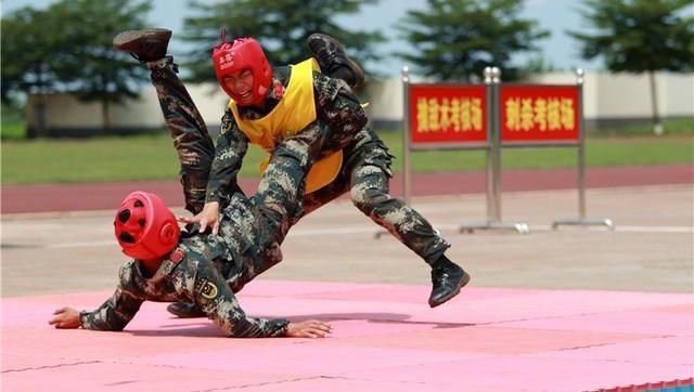 擒，掌握这项技能，轻松应对各种挑战