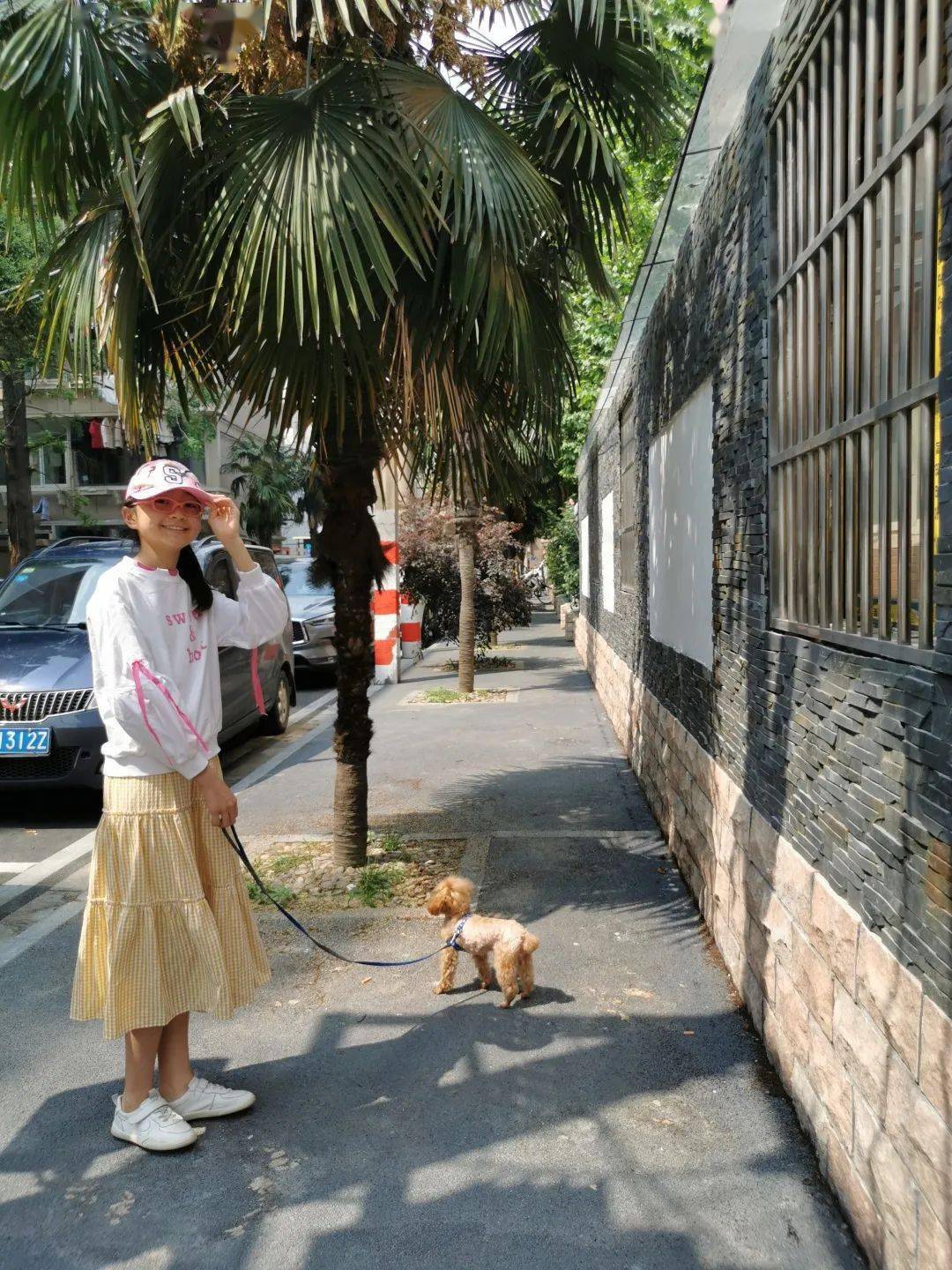 在一个宁静的小镇上，住着一群快乐的小伙伴。他们每天一起玩耍、学习和探索世界，其中有一个特别有趣的小故事，让我们一起来听听吧。