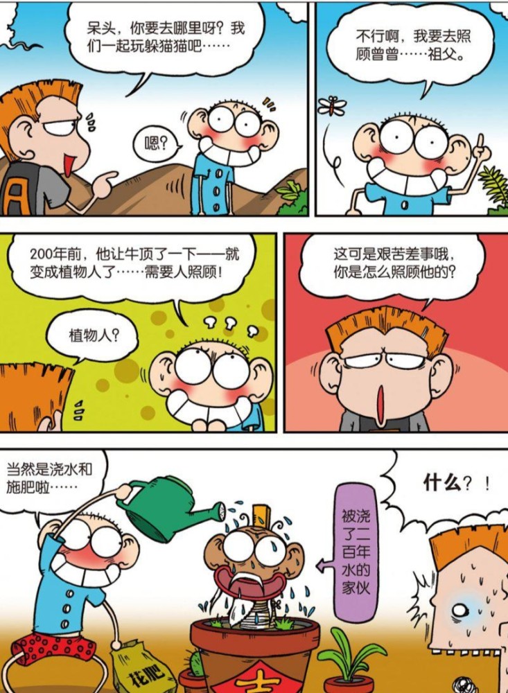 呆头，一种独特的智慧